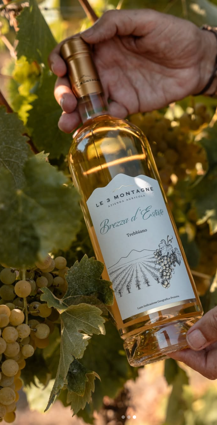 TREBBIANO/PROCANICO - Brezza D'Estate