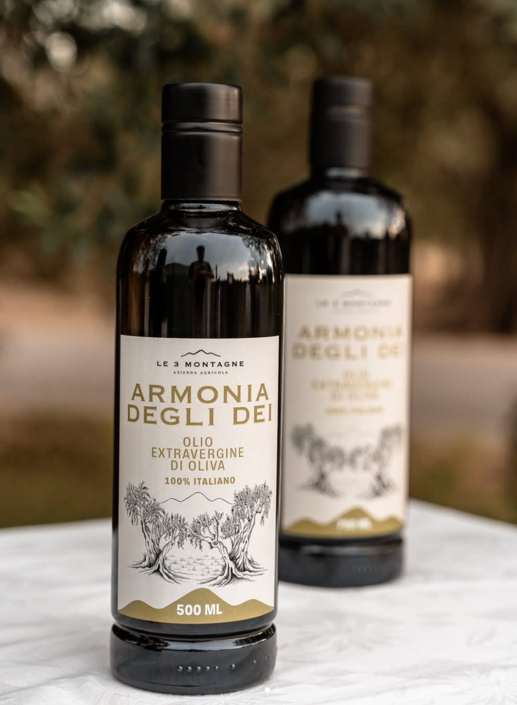 Extra Virgin Olive Oil - Armonia Degli Dei