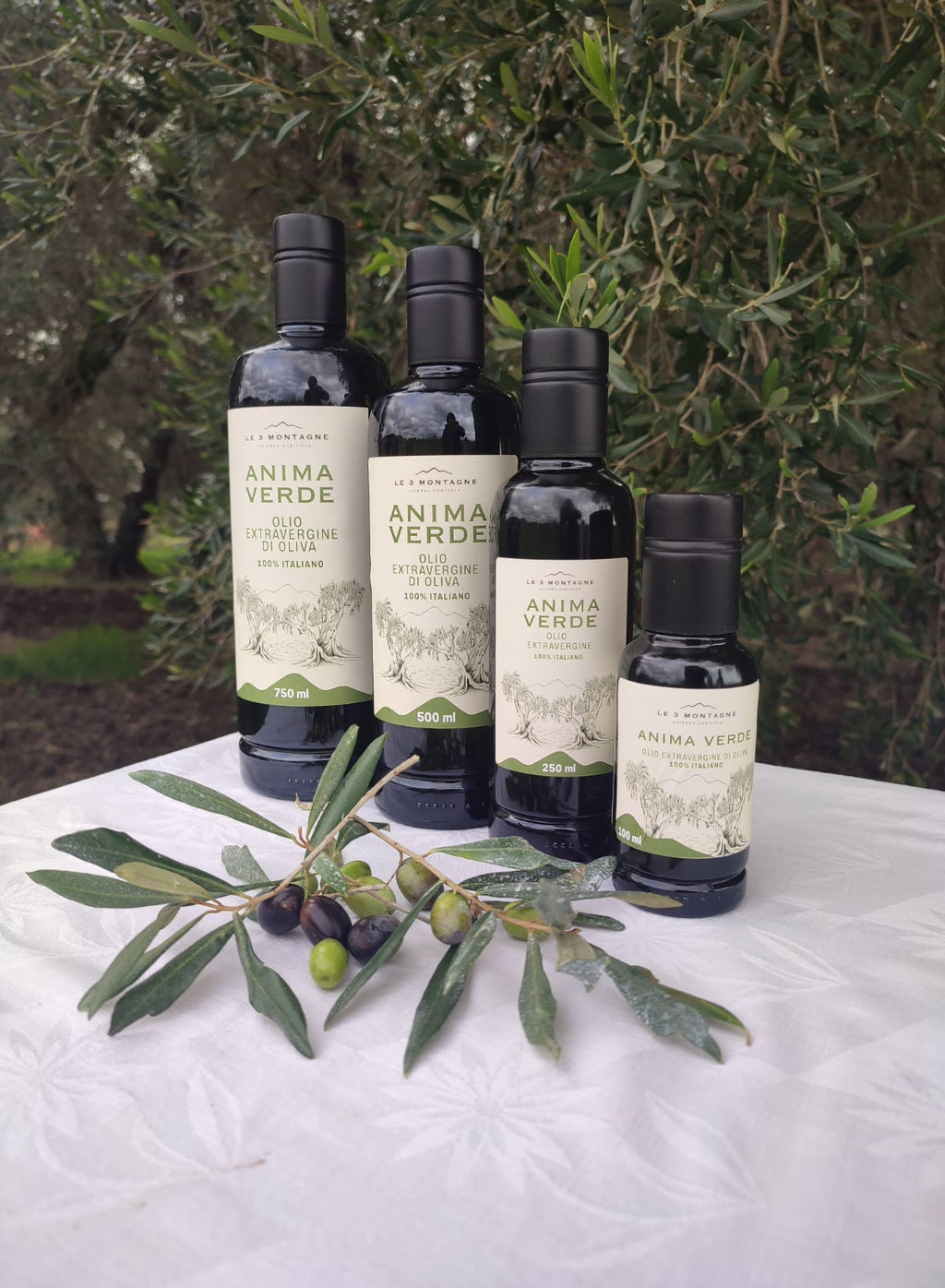 Olio Extravergine d'Oliva - Anima Verde