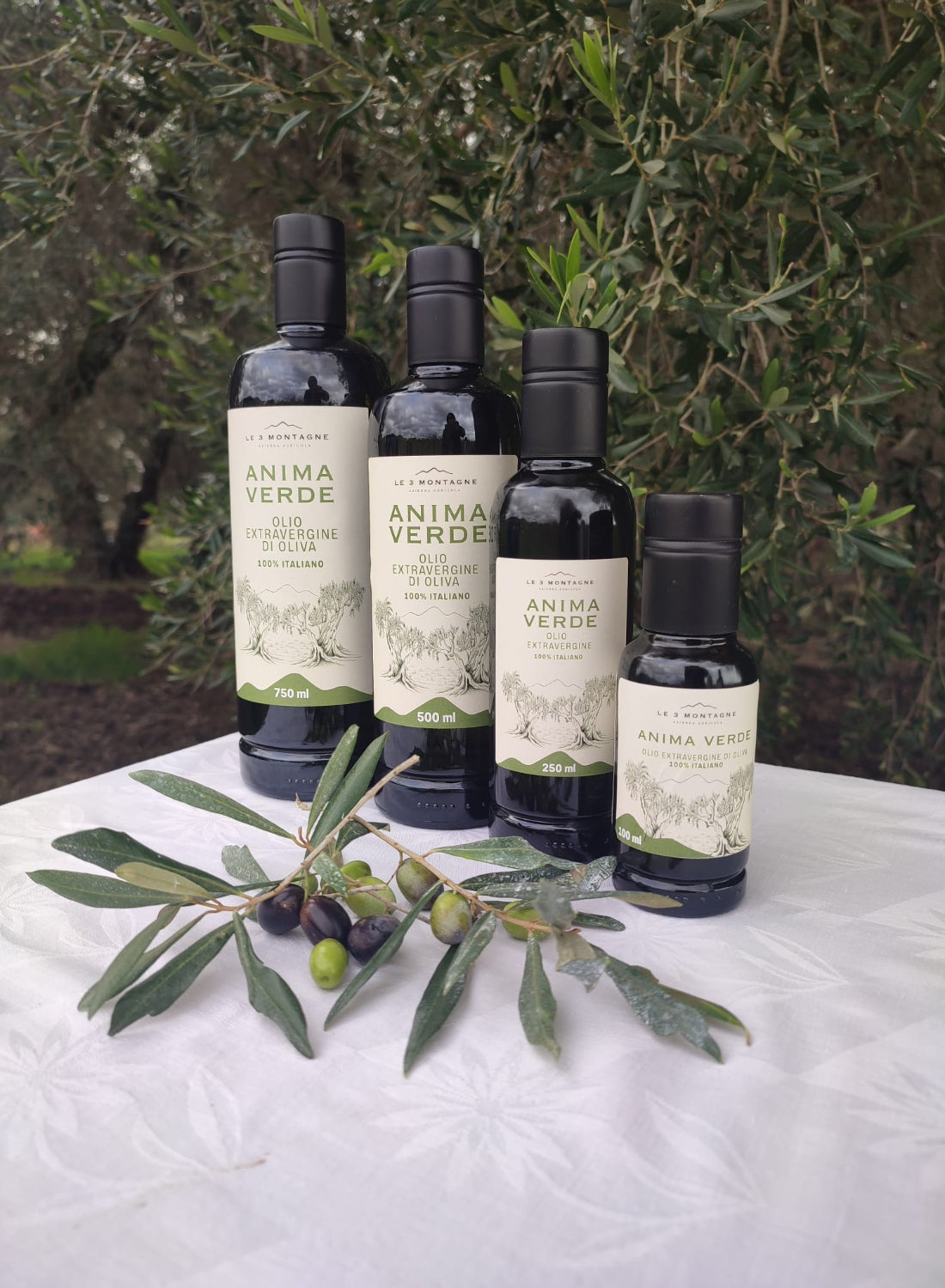 Olio Extravergine d'Oliva - Anima Verde