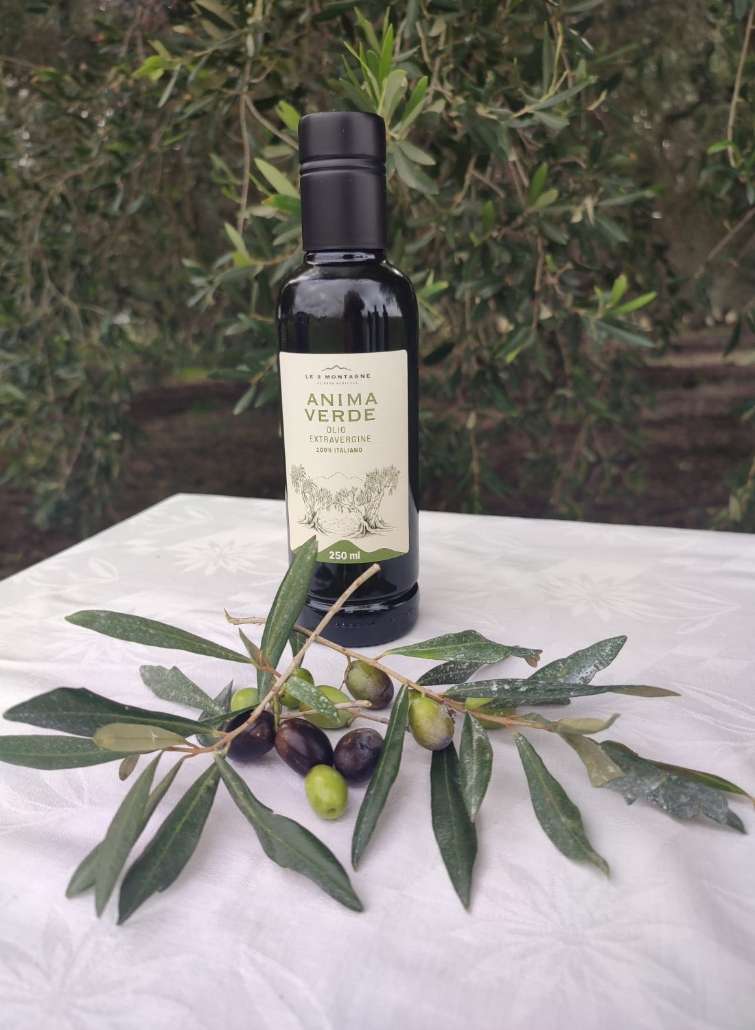 Olio Extravergine d'Oliva - Anima Verde