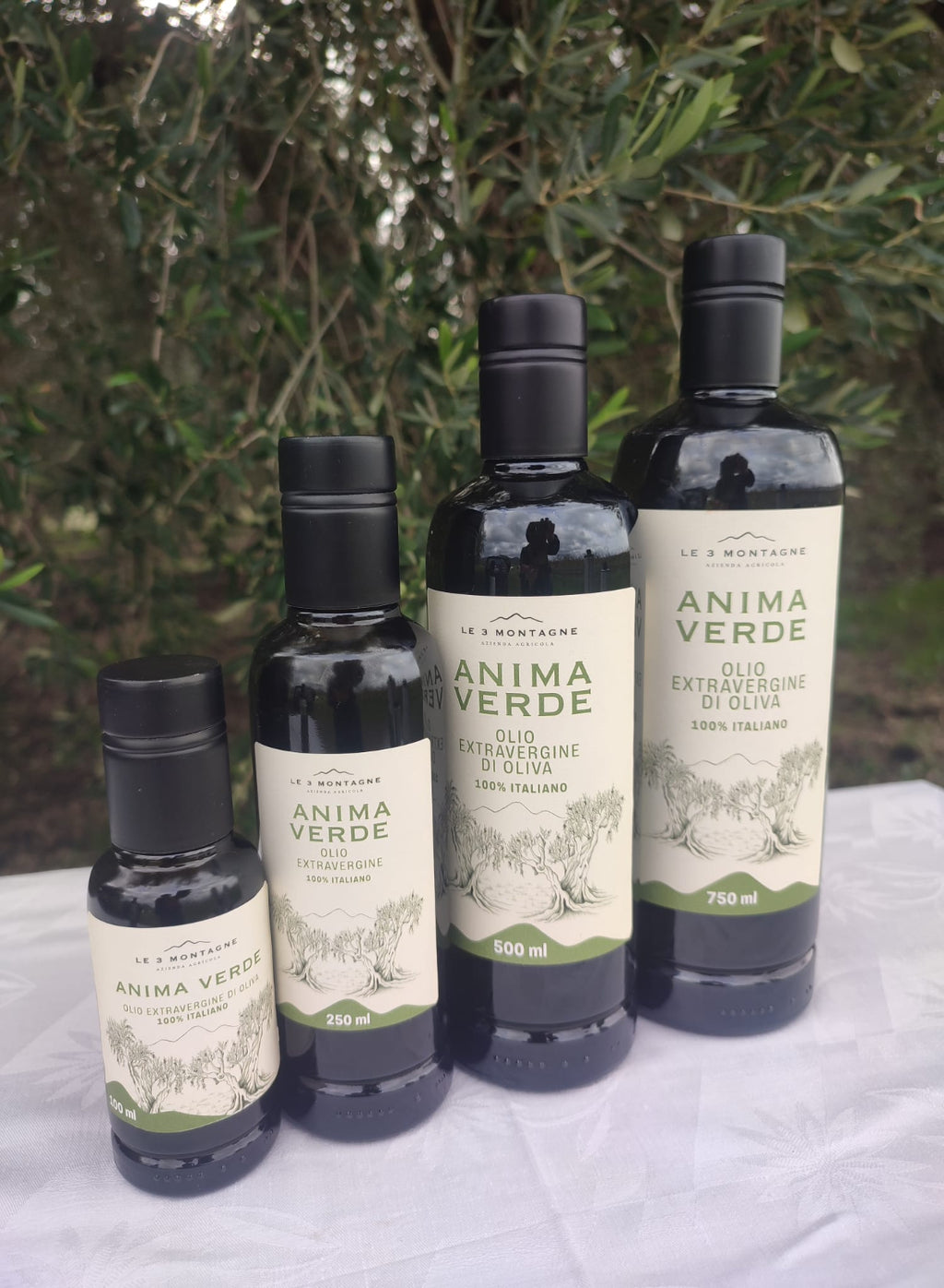 Olio Extravergine d'Oliva - Anima Verde