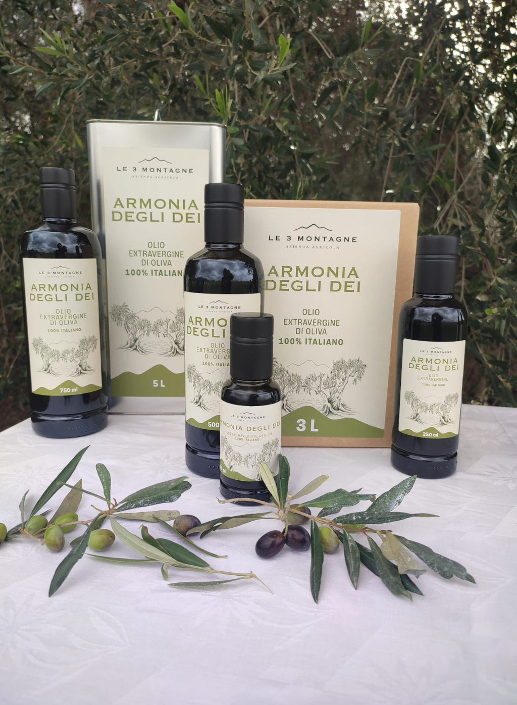 Extra Virgin Olive Oil - Armonia Degli Dei