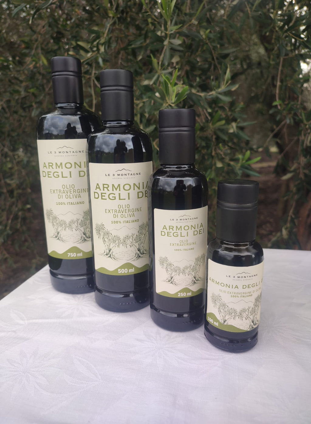 Extra Virgin Olive Oil - Armonia Degli Dei