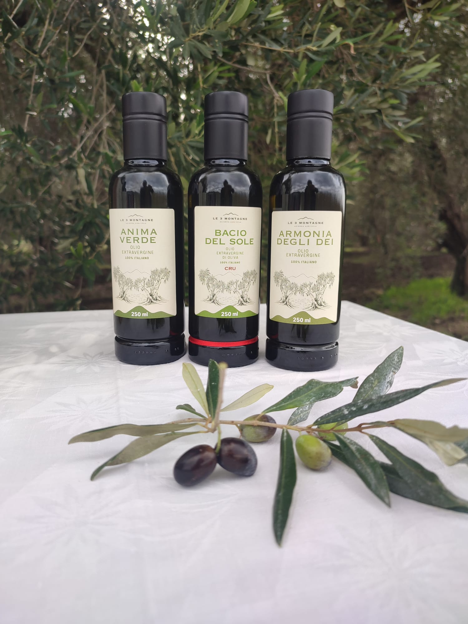 Olio Extravergine d'Oliva - Bacio Del Sole - CRU