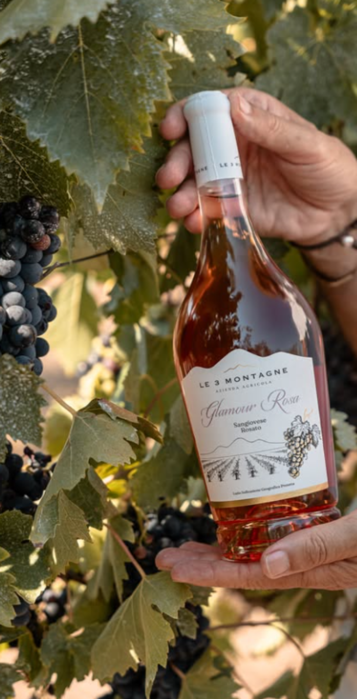 SANGIOVESE ROSATO - Glamour Rosa