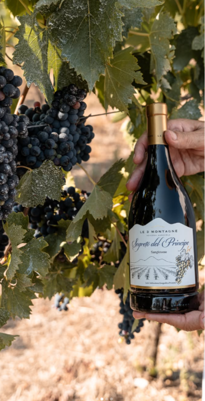 SANGIOVESE - Segreto Del Principe